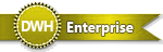 DWH Hosting Club Enterprise