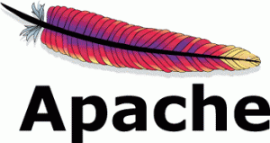 Web Hosting Nginx Server VS Apache Web Server2
